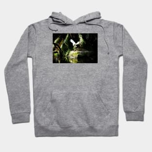 Crane 1 / Swiss Artwork Photography Hoodie